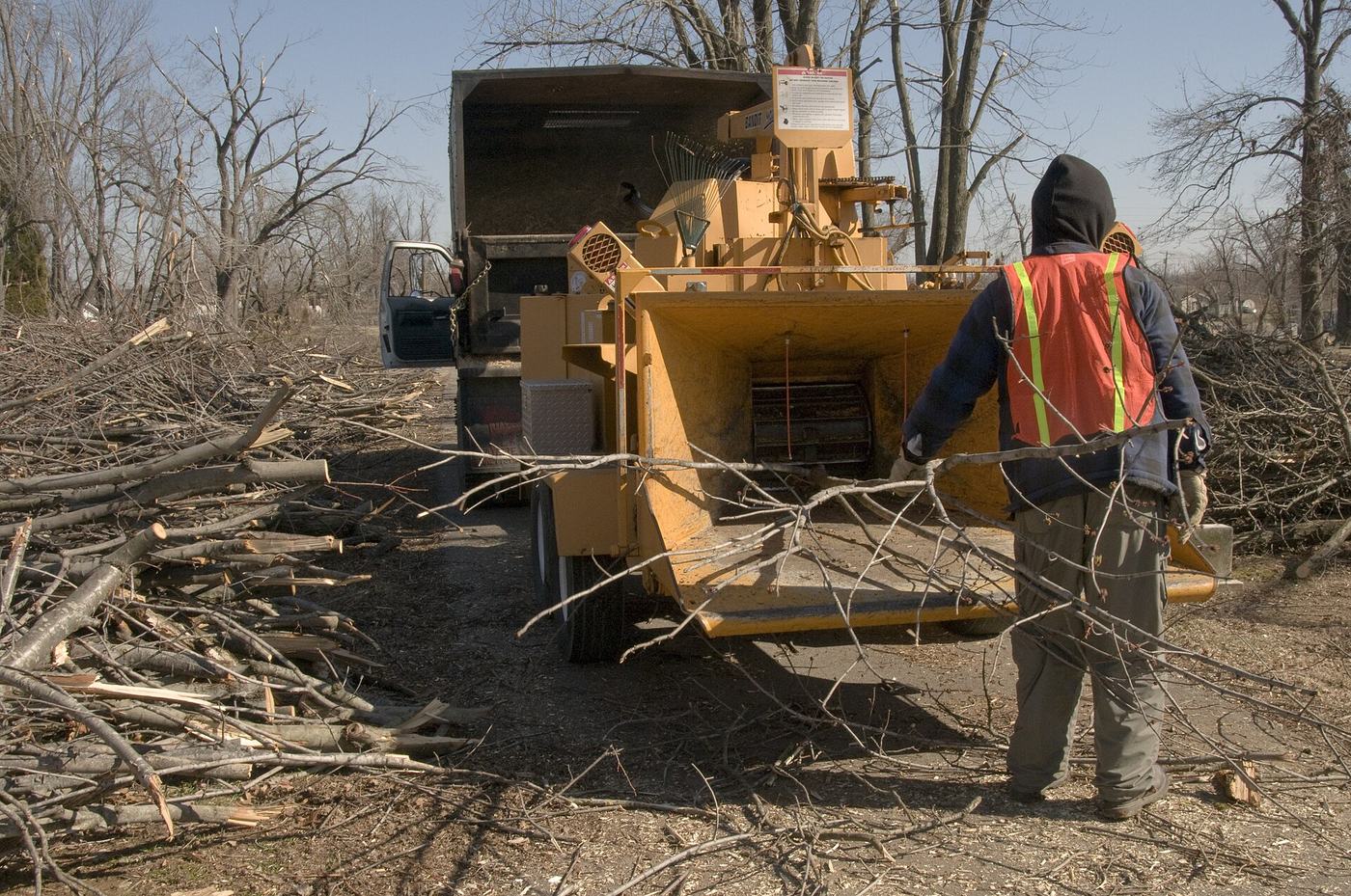 Branches introduites dans un broyeur sur un chantier